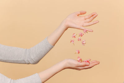 Cropped hands of woman holding flowers against wall