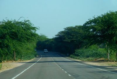 Empty road amidst trees against clear sky