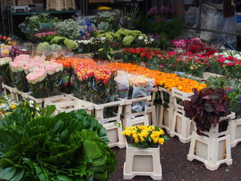 Flowers in market for sale