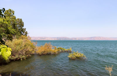 Scenic view of sea against clear sky