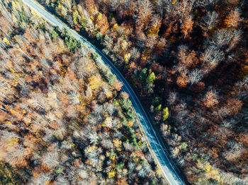 High angle view of road