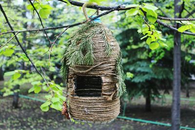 Close-up of man-made nest hanging on tree