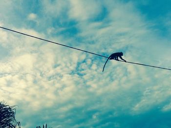 Low angle view of power lines against cloudy sky