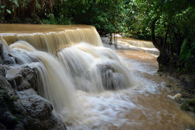 Scenic view of waterfall in forest