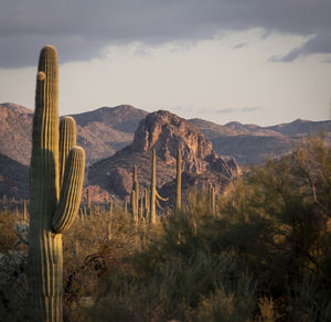 Scenic view of mountains against sky at sunset