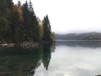 Scenic view of lake by trees against sky