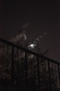 Low angle view of trees against sky at night