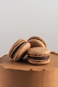 Close-up of macaroons against white background