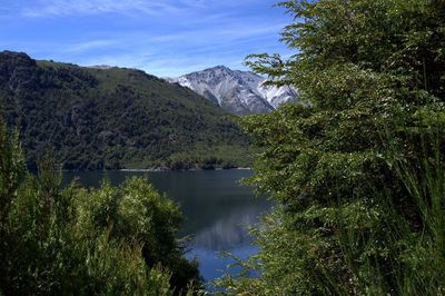 Scenic view of lake in forest against sky