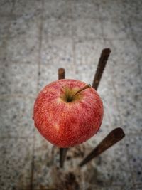 High angle view of apple on table