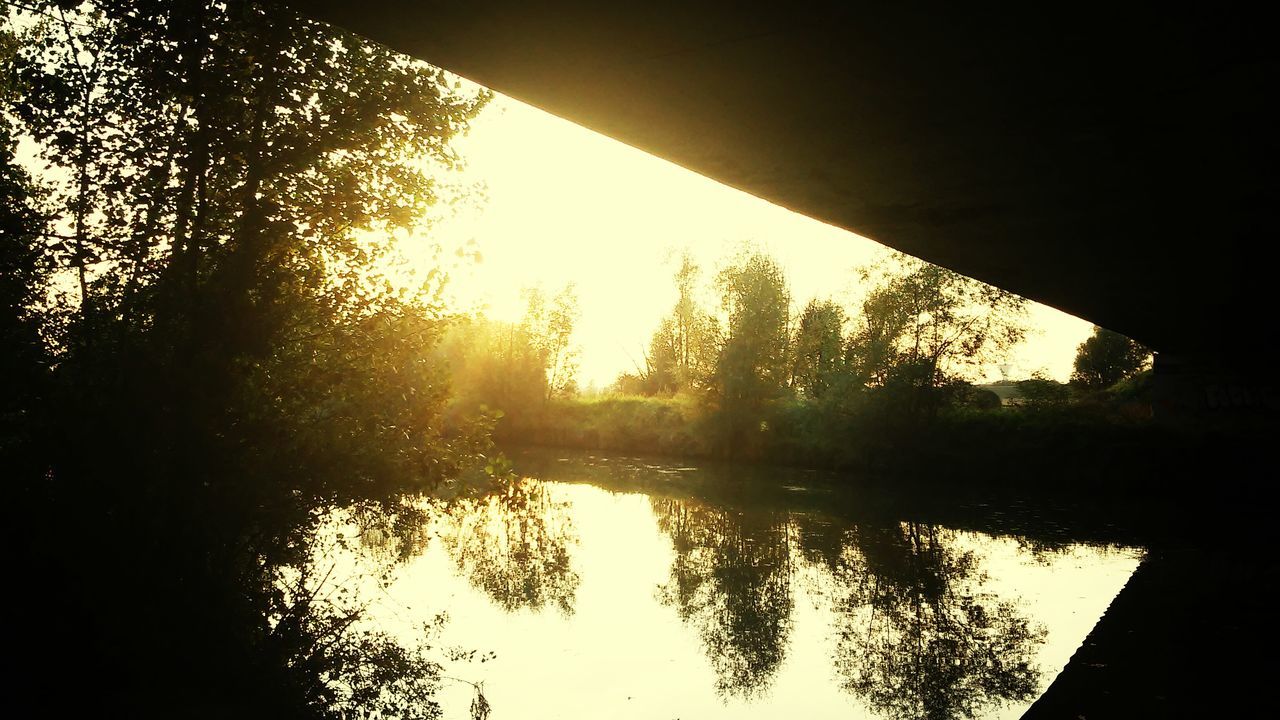 tree, reflection, water, silhouette, tranquility, tranquil scene, sun, sunset, lake, scenics, nature, beauty in nature, sunlight, sky, river, clear sky, branch, standing water, idyllic, tree trunk