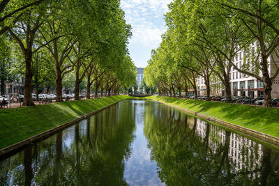 Königsallee in düsseldorf  is by far germany's busiest, upscale luxury shopping street.