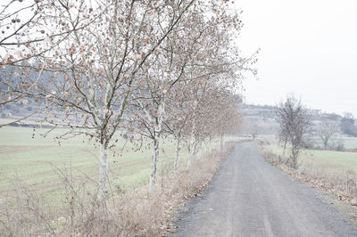 Road passing through landscape