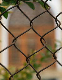 Close-up of chainlink fence