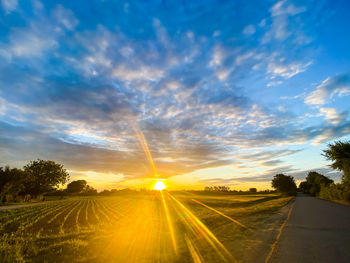 Scenic view of field against sky at sunset