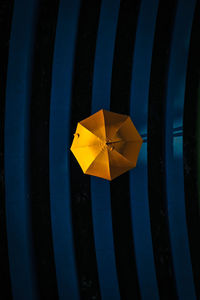 High angle view of yellow leaf on black background