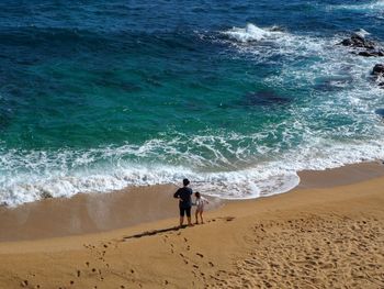 People standing on beach against sea