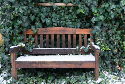 Bench against plants