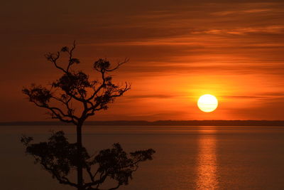 Silhouette tree by sea against romantic sky at sunset