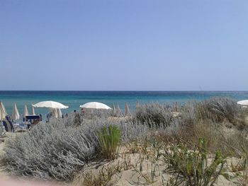 High angle shot of plants against calm blue sea