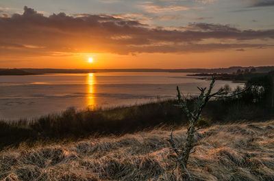 Scenic view of river at sunset
