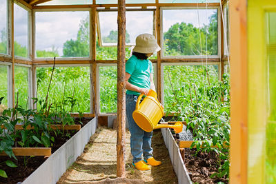 A little girl in a green t-shirt waters with a yellow watering can, tomato bushes in greenhouse