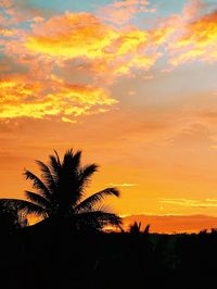 Silhouette palm trees against orange sky