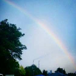 Low angle view of rainbow over trees