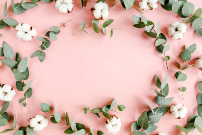 High angle view of pink roses