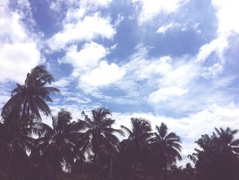 Low angle view of trees against sky