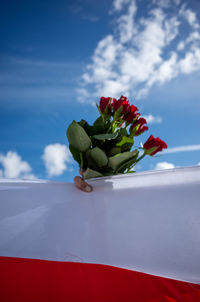 Close-up of red rose flower against sky