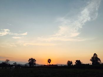 Silhouette trees on field against sky during sunset