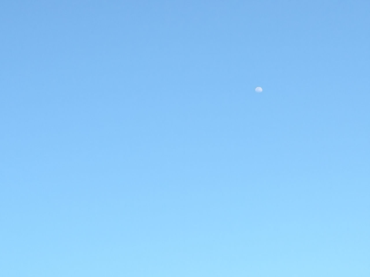 LOW ANGLE VIEW OF MOON IN SKY