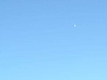 Low angle view of moon against clear blue sky