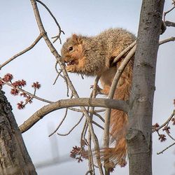 Low angle view of birds perching on branch