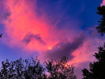 Low angle view of silhouette trees against sky at sunset