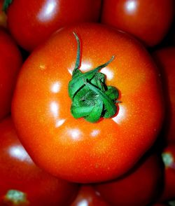 Close-up of fresh tomatoes