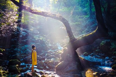 Woman standing on rock in forest