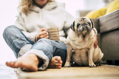 Midsection of man with dog