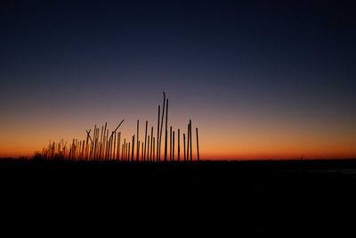 Silhouette plants on land against sky during sunset