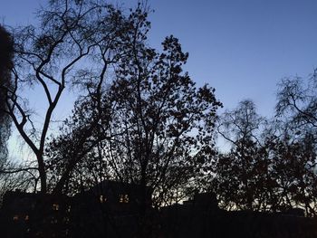 Low angle view of silhouette trees against clear sky