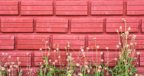 Full frame shot of brick wall