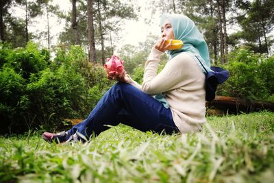 plant