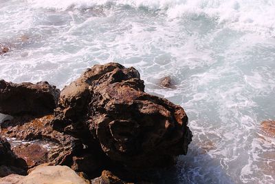High angle view of rock formation in sea