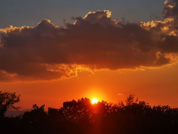 Silhouette trees against dramatic sky during sunset