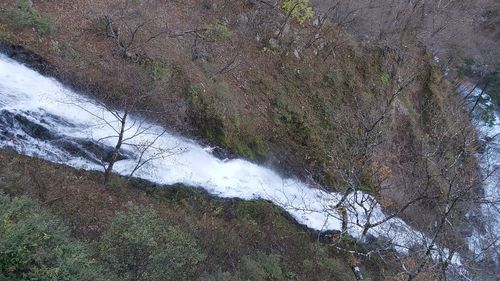 High angle view of waterfall in forest