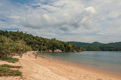 View of beach, sea and forest on cloudy day in paraty mirim, a tropical beach near paraty, brazil.