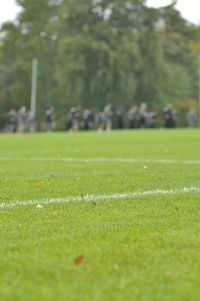 View of soccer field