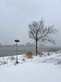 Bare tree on snow covered field against sky
