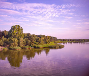 Peaceful paysage of the lake beach in summer 